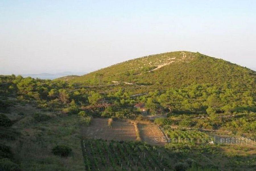 I terreni agricoli in una bella posizione, in vendita