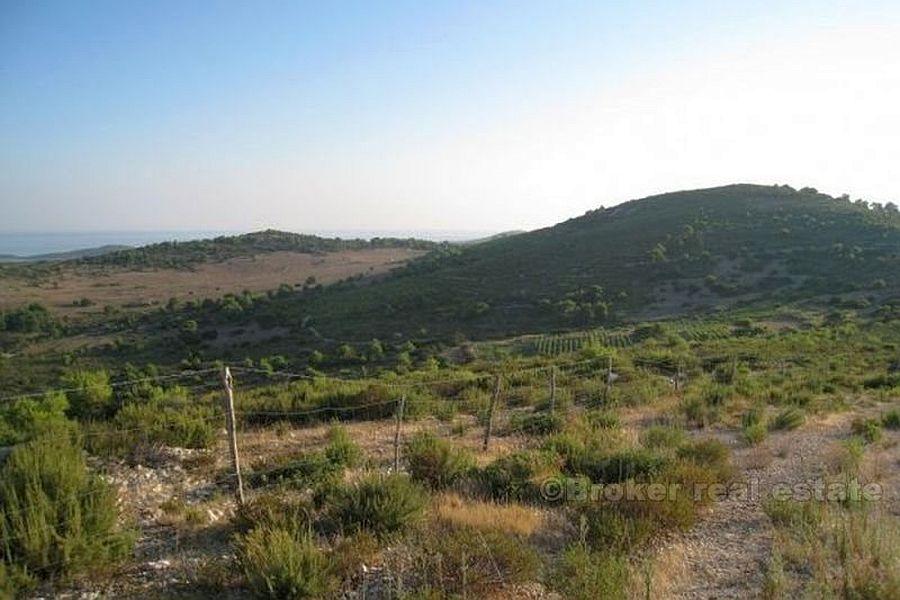 Les terres agricoles dans un endroit attrayant, à vendre