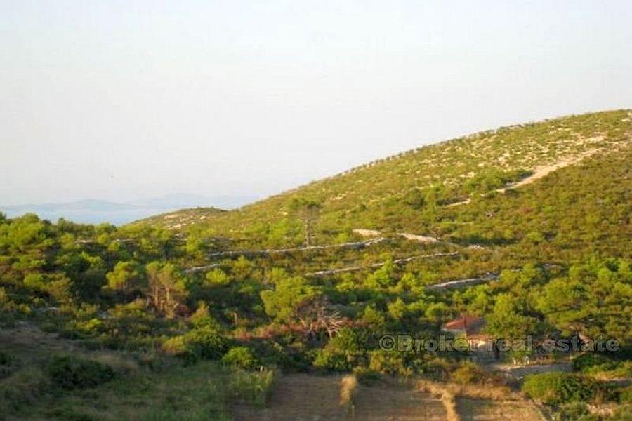 Les terres agricoles dans un endroit attrayant, à vendre
