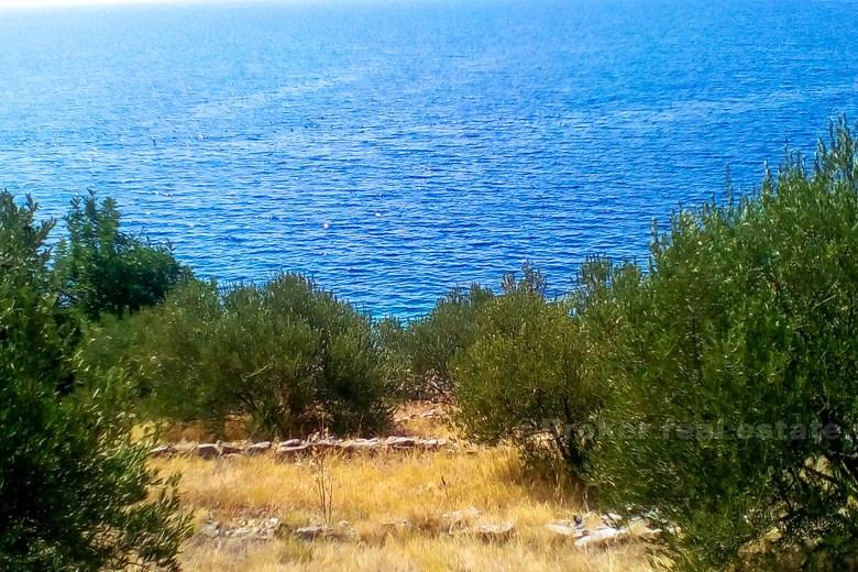 Terra, mare edificio, for Sale