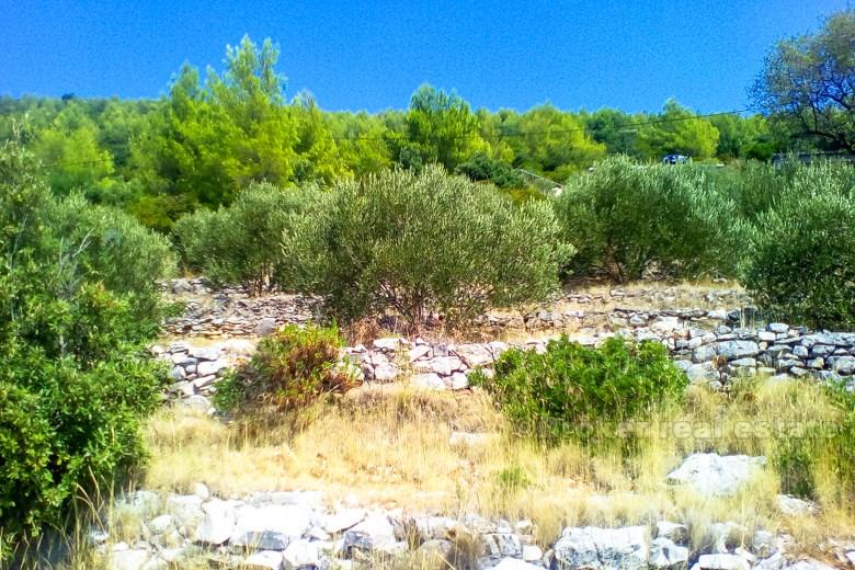 Terra, mare edificio, for Sale