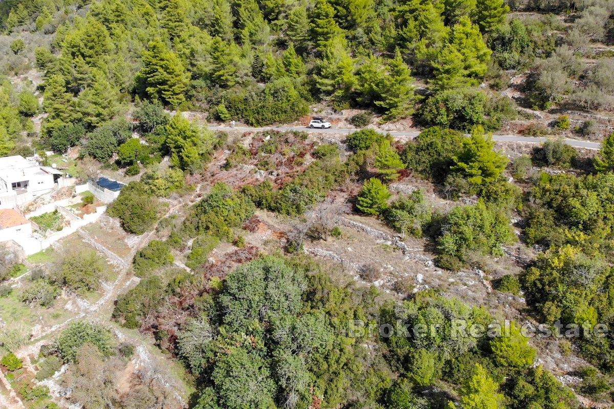 Spacious building plot