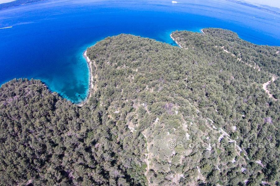 Terreno edificabile vicino al mare, in vendita