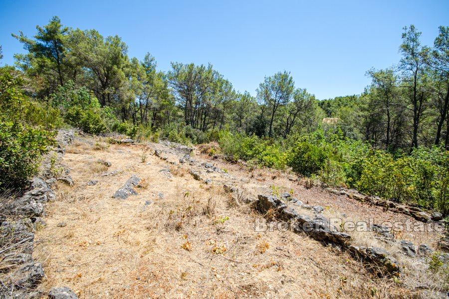 Terreno con vista mare
