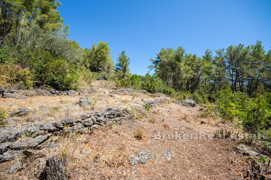 Terreno con vista mare