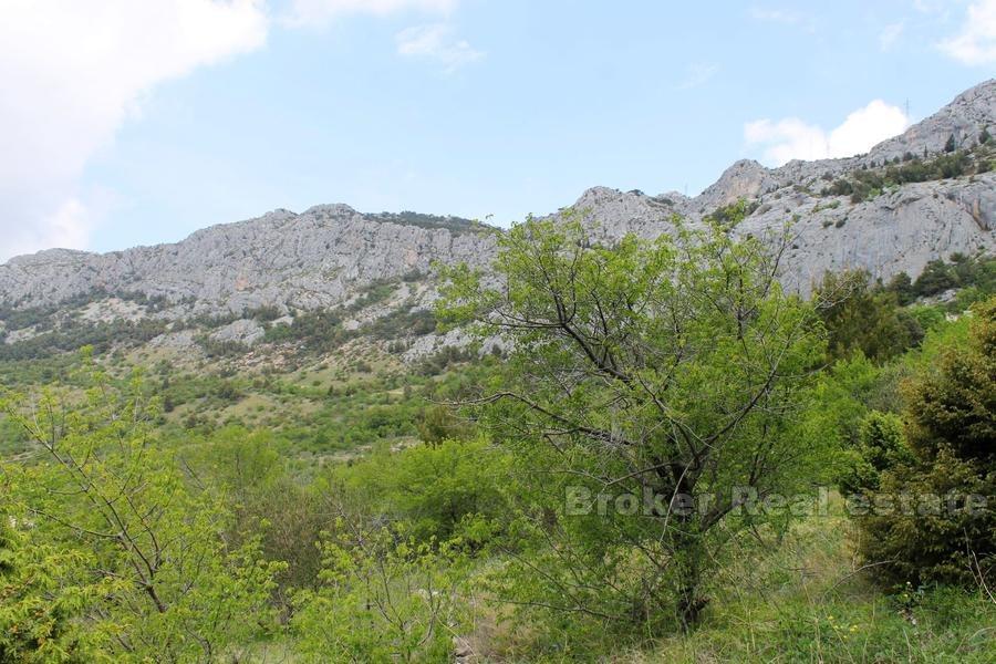 Terrain à bâtir situé dans une excellente position, à vendre