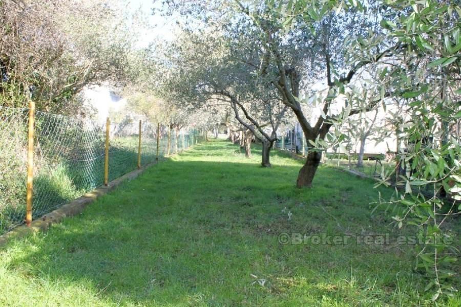 Samostojeća kuća u prvom redu do mora