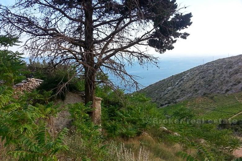 Hus, sten, revs på ön Hvar, havsutsikt