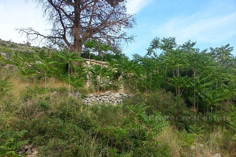 Hus, sten, revs på ön Hvar, havsutsikt