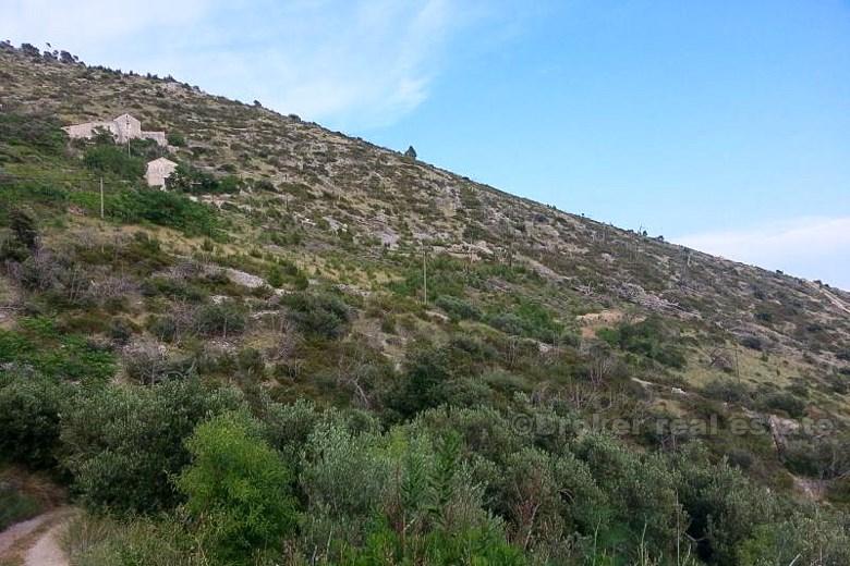Hus, sten, revs på ön Hvar, havsutsikt