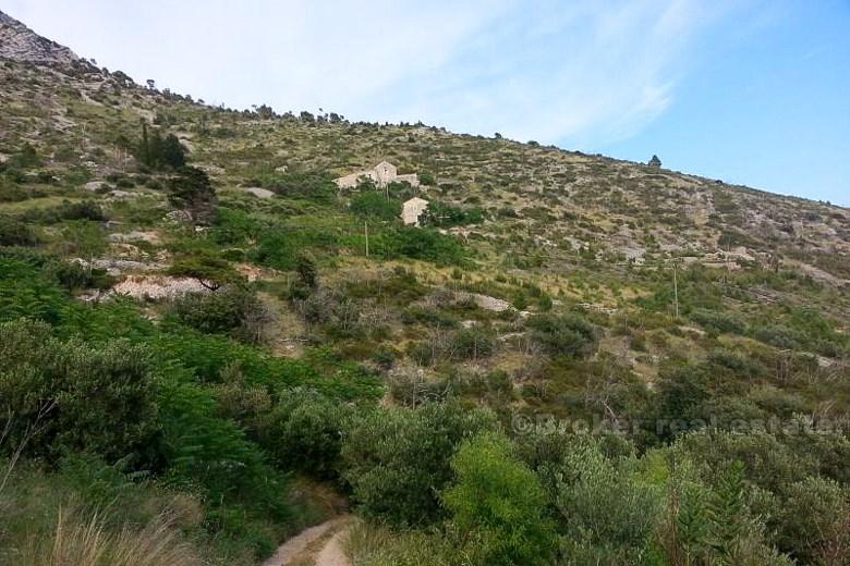 Hus, sten, revs på ön Hvar, havsutsikt