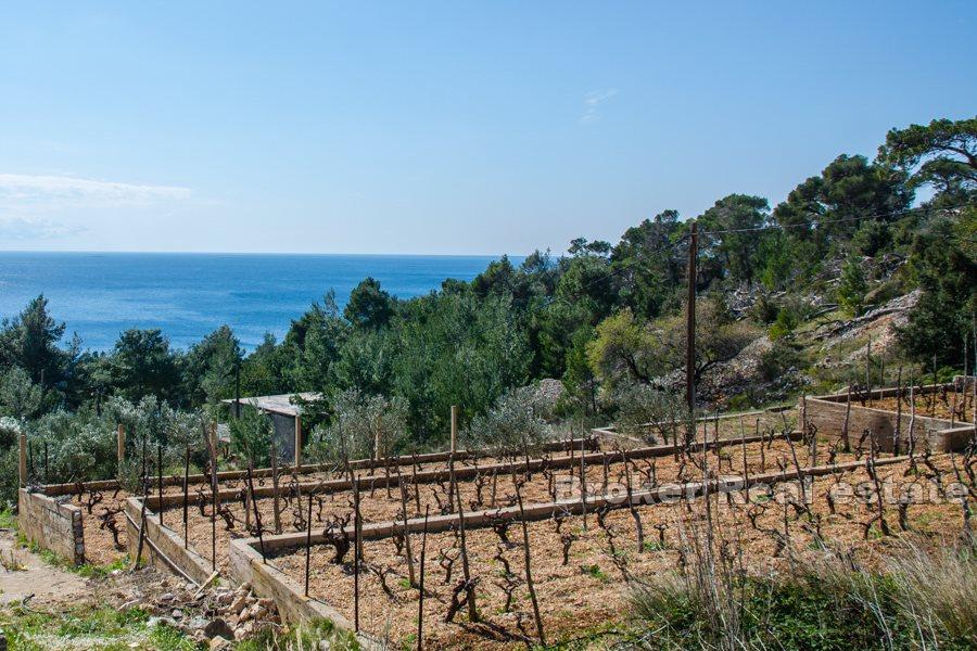 Terreno edificabile con vista mare