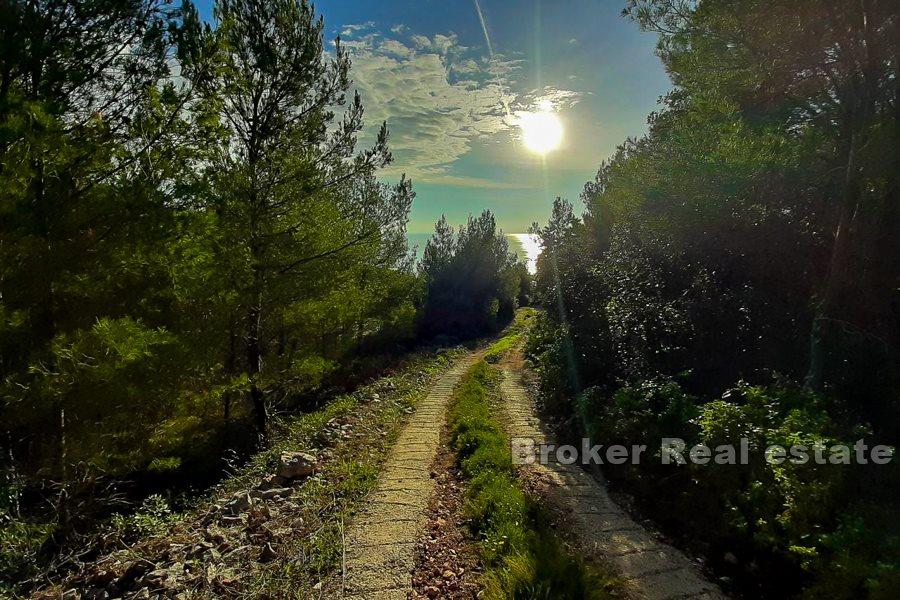 Terrain constructible près de la mer