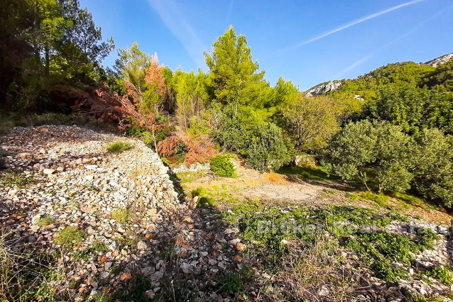 Terrain constructible près de la mer