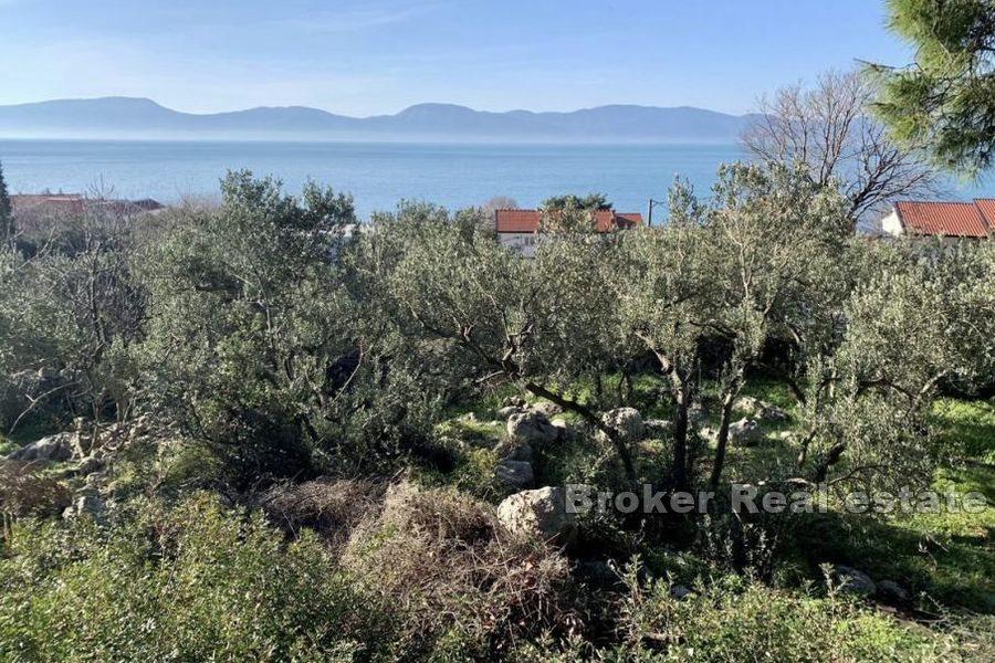Terreno edificabile, vicino al mare