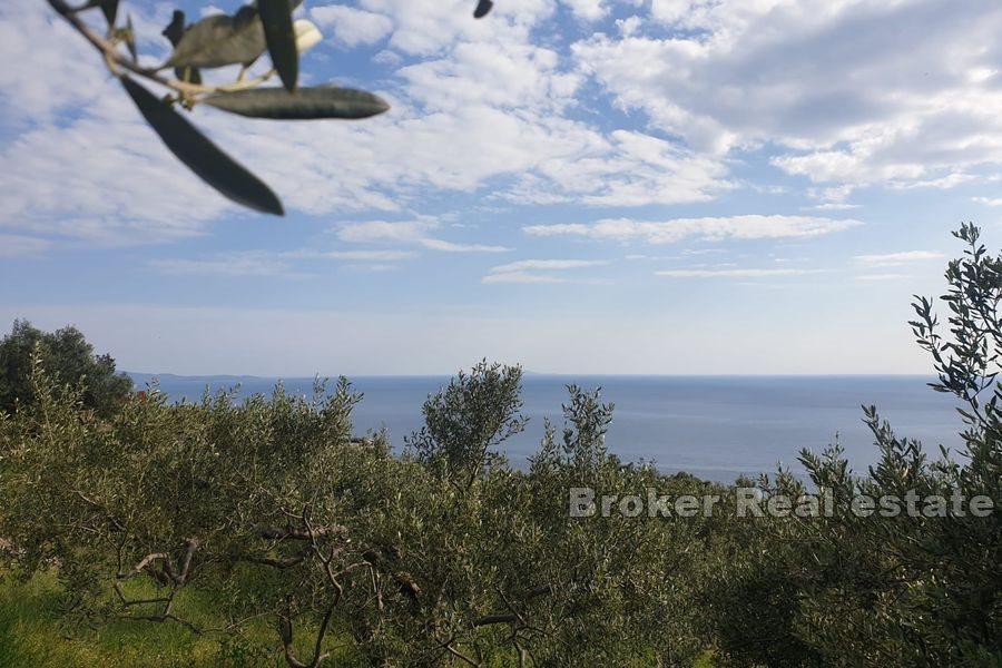 Land with a view and a project for reconstruction