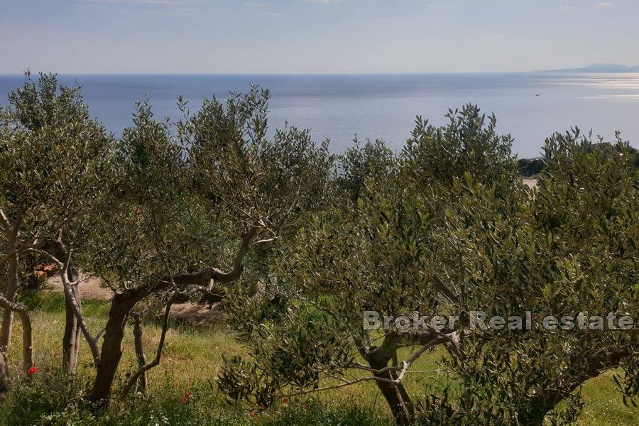 Land with a view and a project for reconstruction