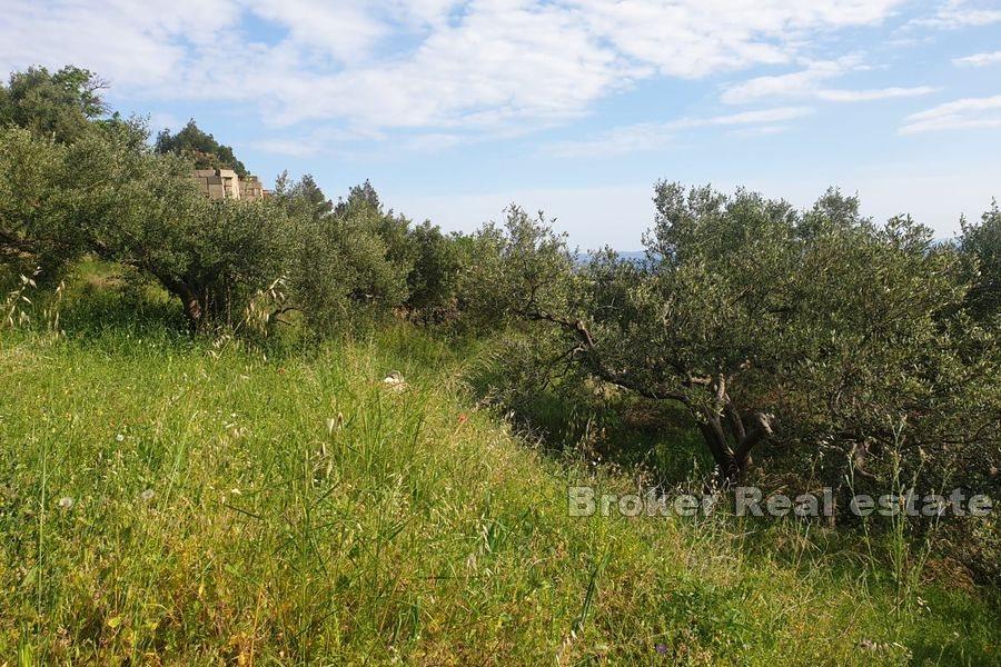 Land with a view and a project for reconstruction