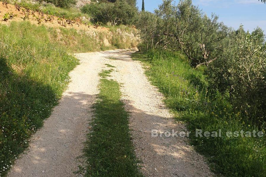 Land with a view and a project for reconstruction