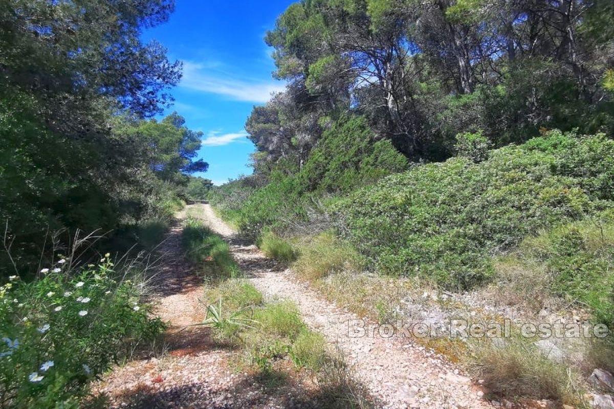 Spacious grounds with an open view of the sea