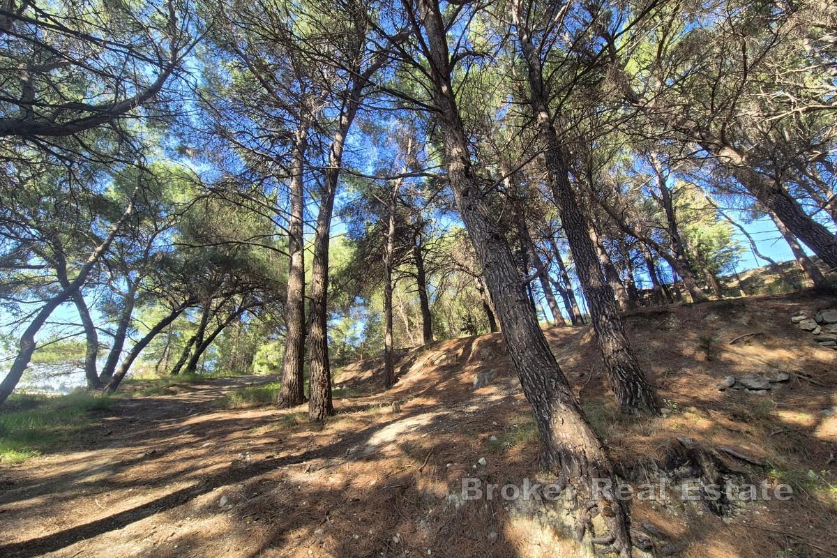 Terrain spacieux et attractif à l'est de Split