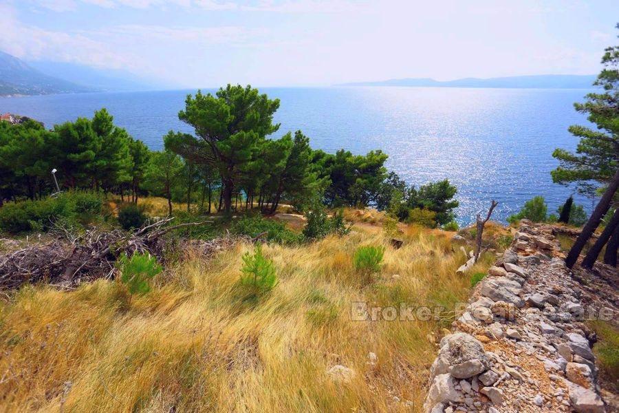 Terrain attrayant, première rangée de la mer