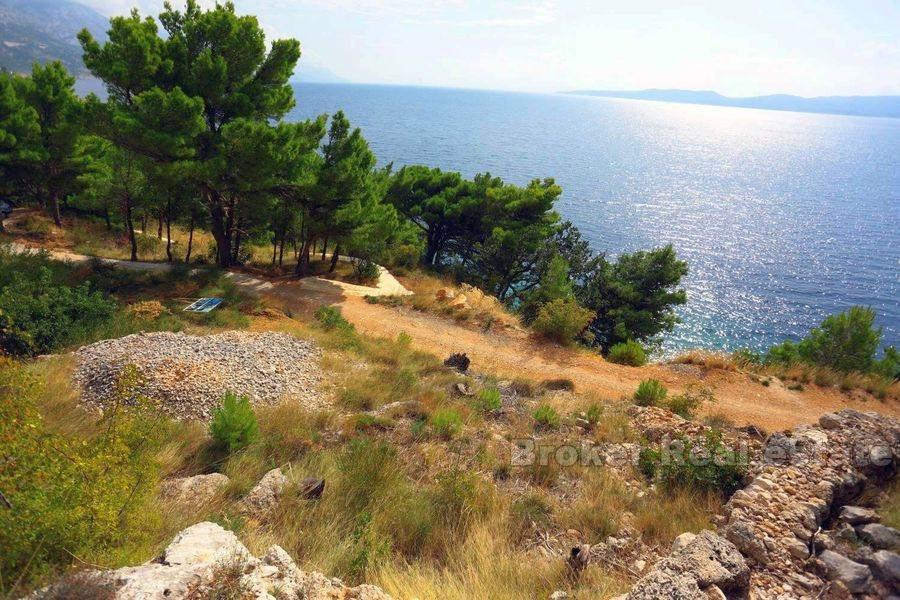 Terrain attrayant, première rangée de la mer