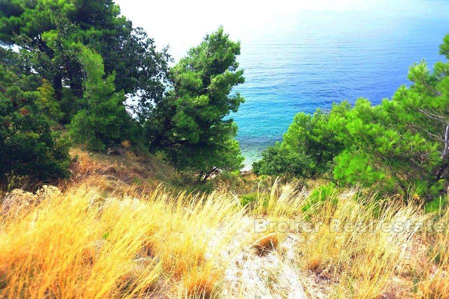 Terrain attrayant, première rangée de la mer