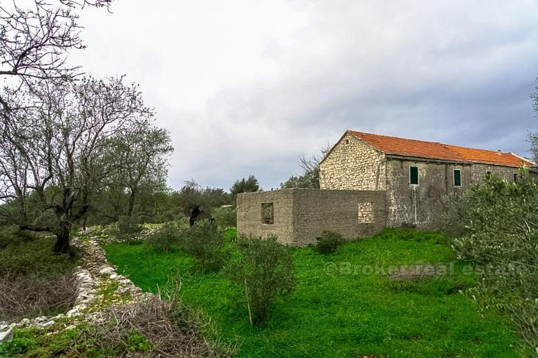Maison en pierre dalmate, à vendre