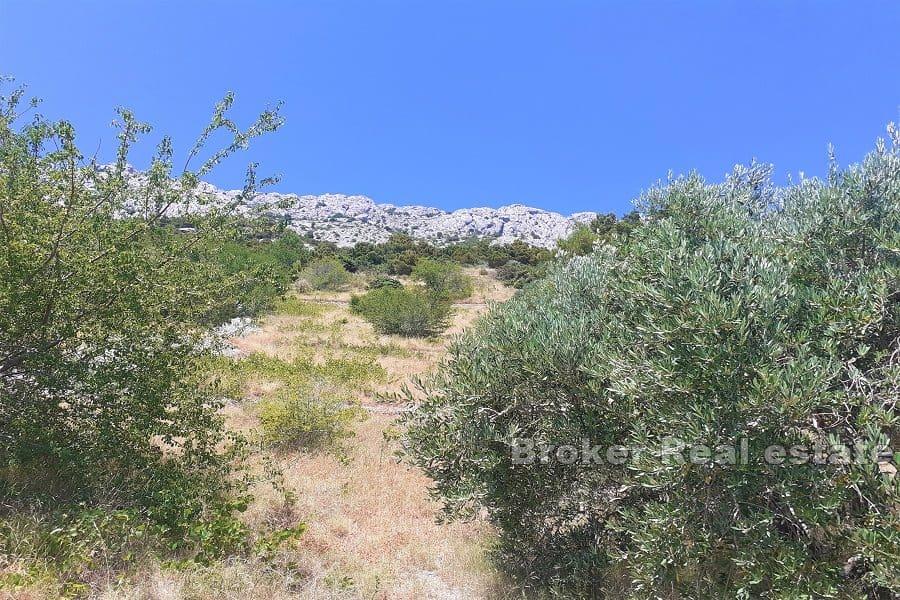 Terreno edificabile con vista mare