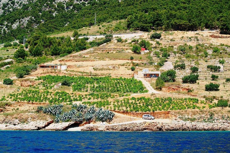 Terrain sur l'île de Brac première rangée à la mer, 15000 m2, à vendre