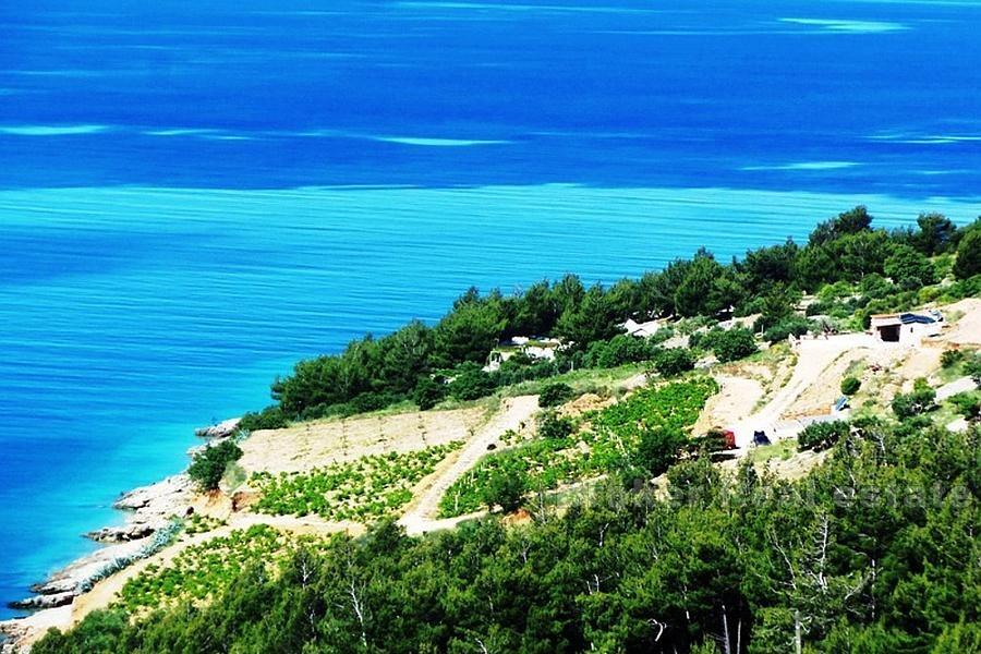 Terrain sur l'île de Brac première rangée à la mer, 15000 m2, à vendre