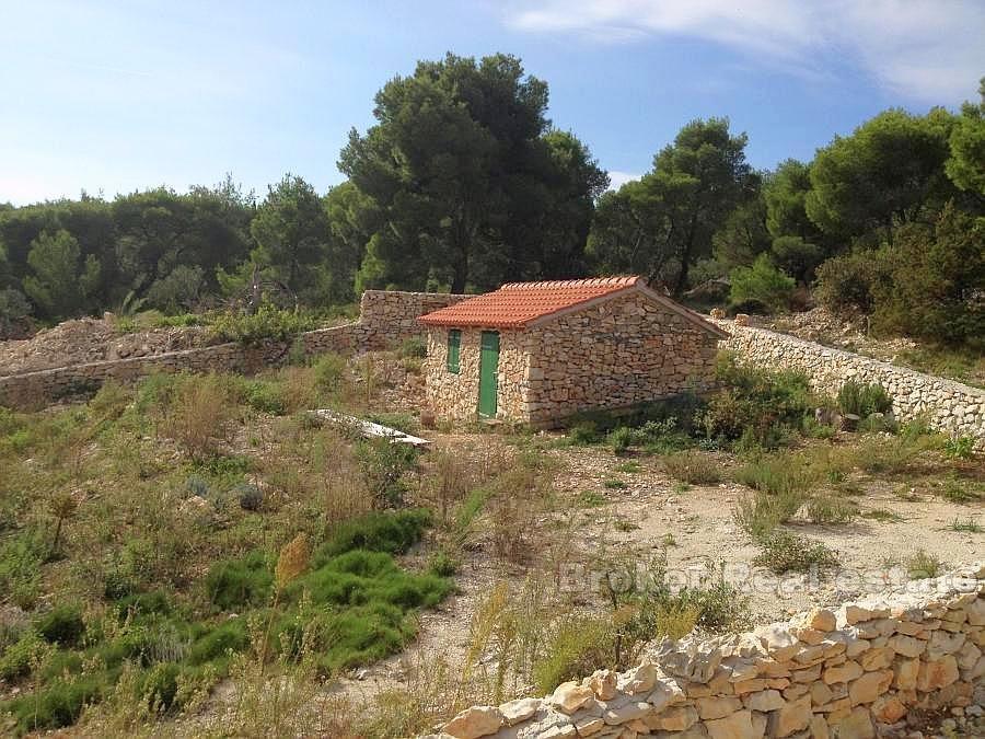 Agricultural land plot with small house at second row to the sea