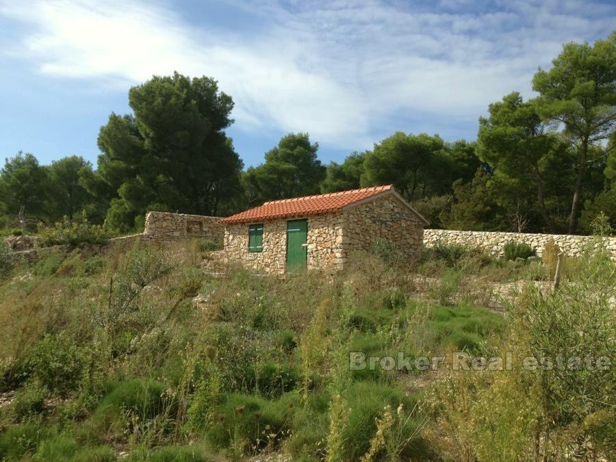 Agricultural land plot with small house at second row to the sea