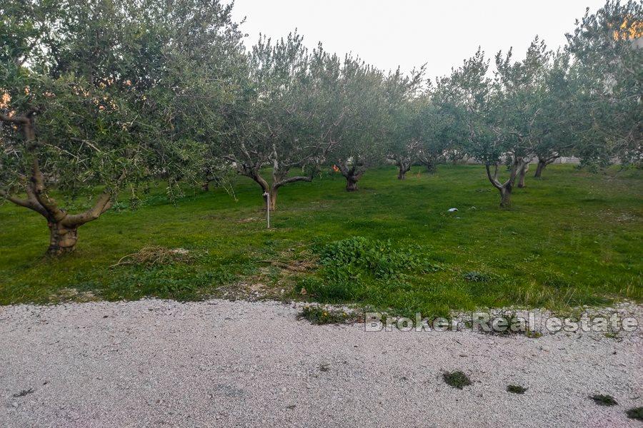 Two building plots in Split