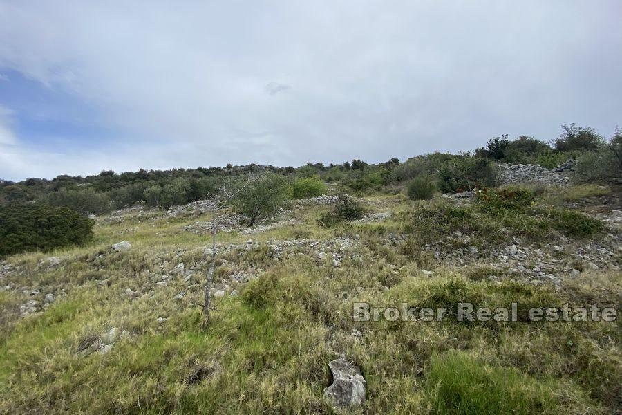 Terreno edificabile in ottima posizione