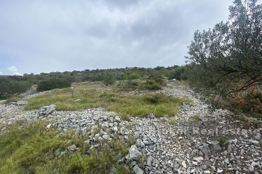 Terreno edificabile in ottima posizione