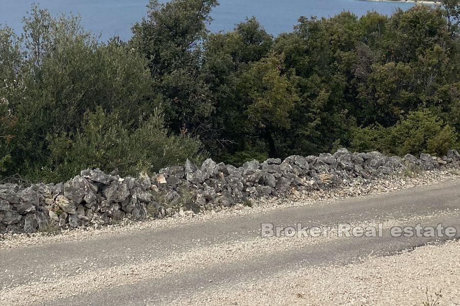 Terreno edificabile in ottima posizione