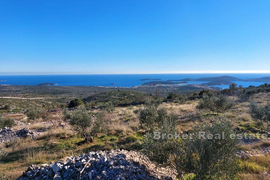 Large agricultural land with a project