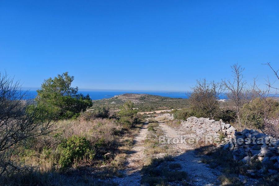 Large agricultural land with a project