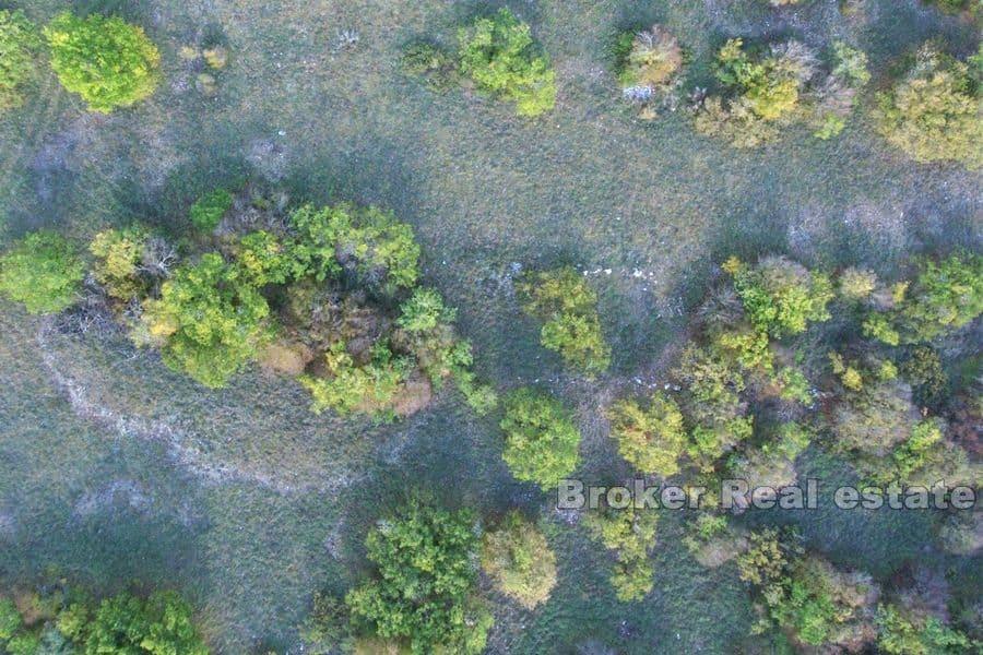 Terrain constructible en zone rurale