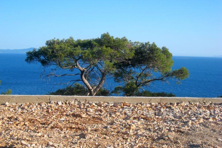 Terrain agricole, première rangée de la mer