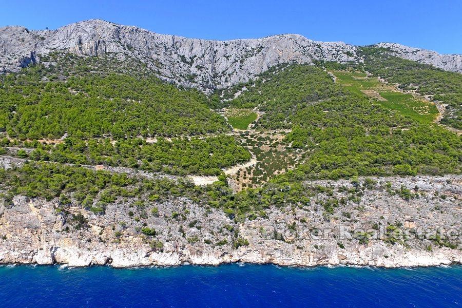 Terrain agricole, première rangée de la mer
