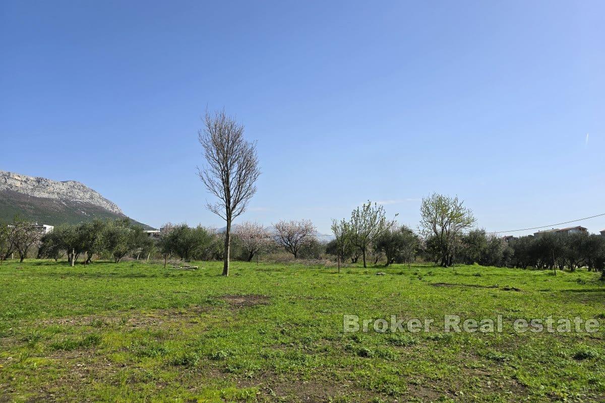 Terreno edificabile, a 300 metri dal mare