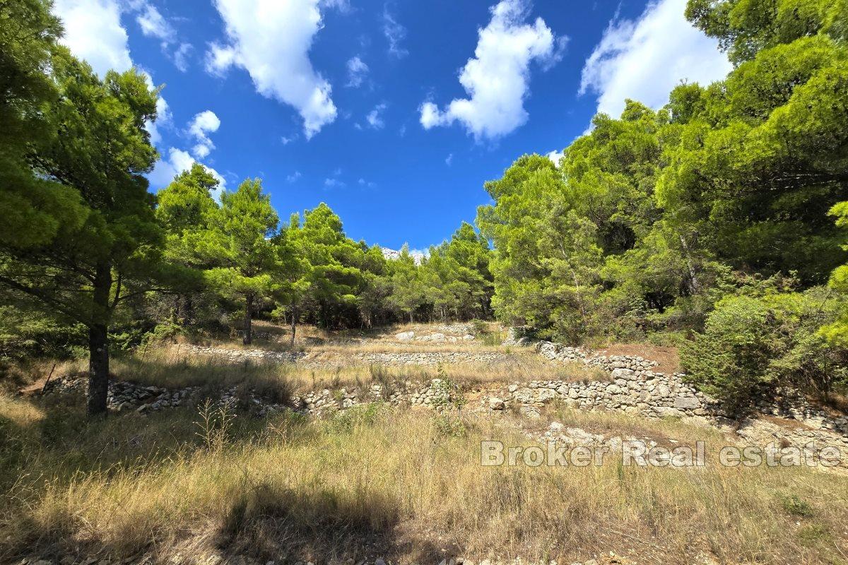 Terreno con vista e permesso di costruire