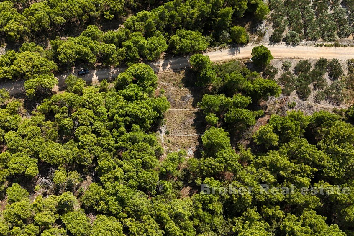 Terreno con vista e permesso di costruire