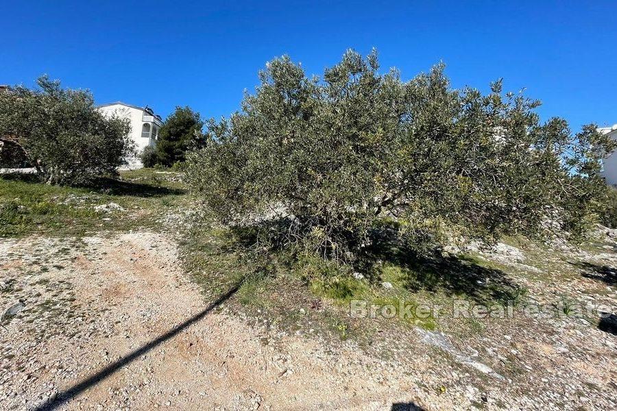 Terreno edificabile non lontano dal mare