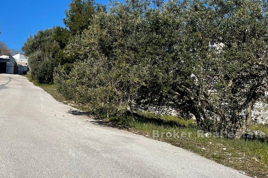 Terreno edificabile non lontano dal mare