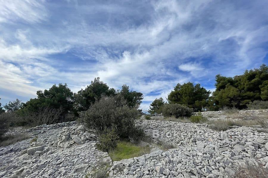 Terreno edificabile vicino al mare