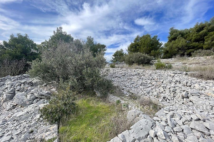 Terreno edificabile vicino al mare